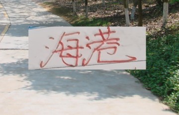 足球赛事-今年去莫雷拉人进货不是申花跟海港 也不是北京国安了